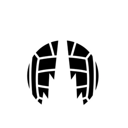 Falkirk FC